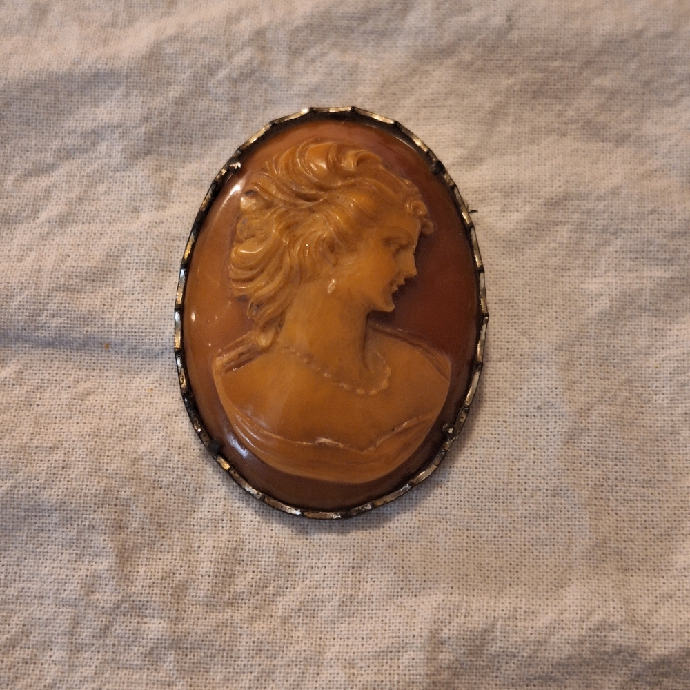 Vintage Cameo Pendant Brooch